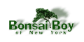 Bonsai Boy cashback