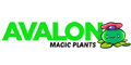 Avalon Magic Plants cashback