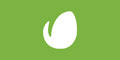Envato cashback