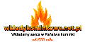 Wkłady kominkowe i piecyki cashback